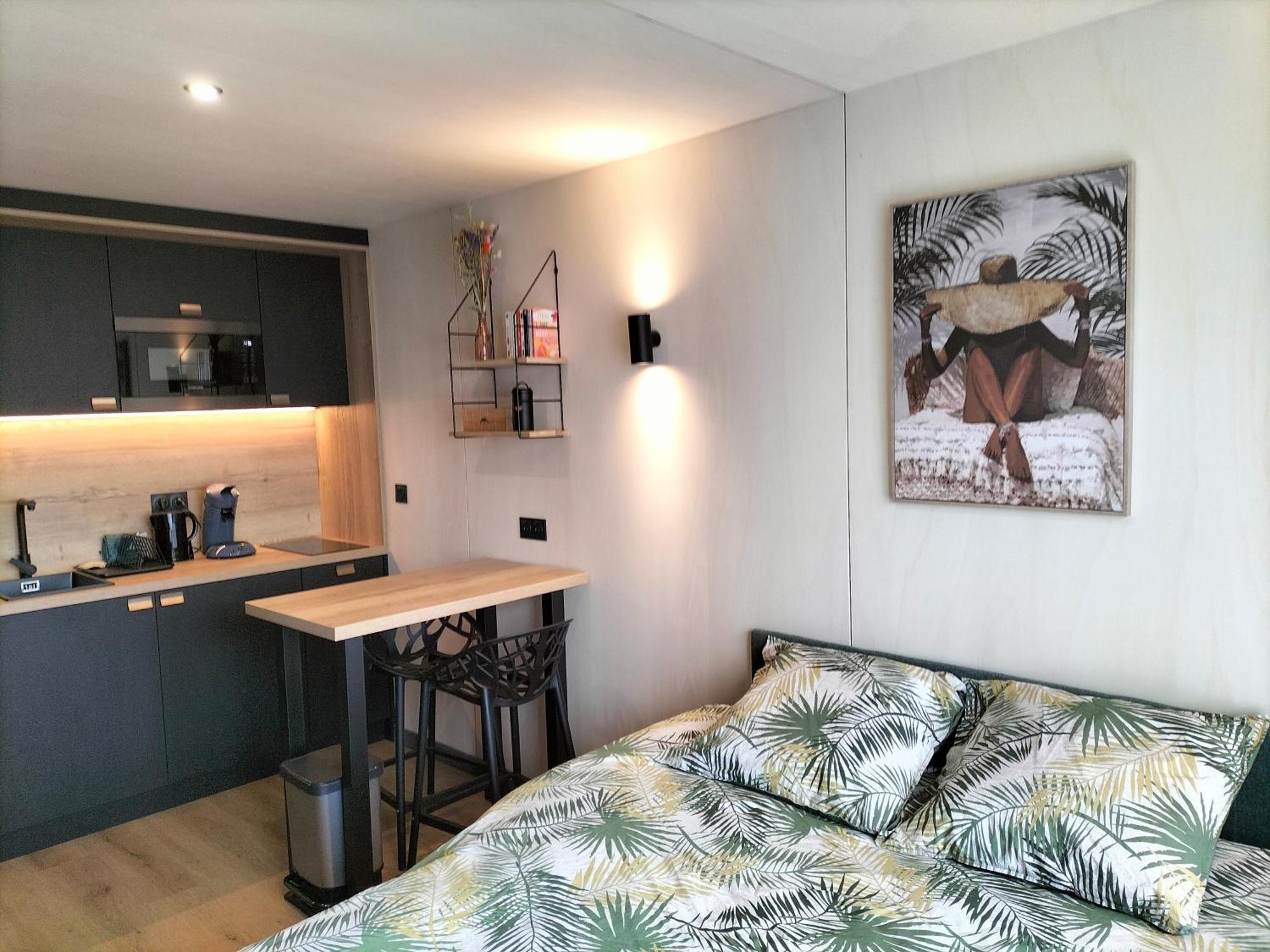 Apartment Zen Et Bois Ecouflant