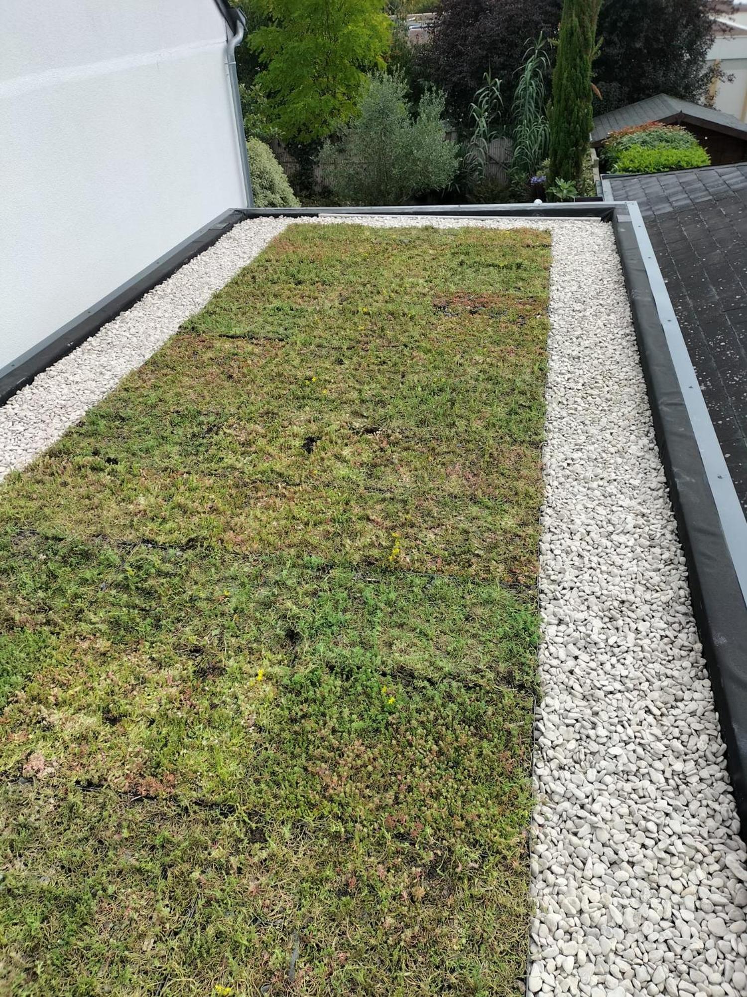 Apartment Zen Et Bois *